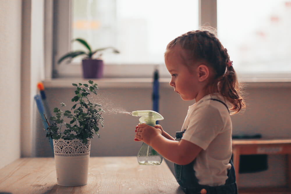 dziewczynka spryskuje roślinkę wodą